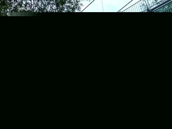 合金軸承的多元應用與定制化服務解決方案！